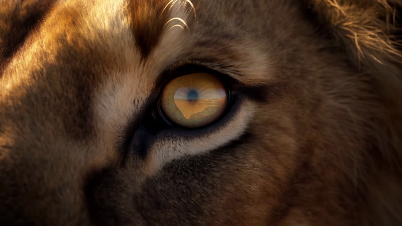 Extreme Closeup Lion Eye With Reflection, Golden Iris Catching Horizon Silhouette, Soft Mane Fur And Whisker