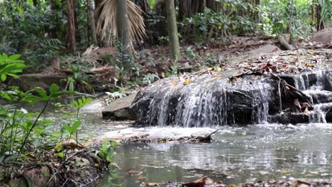 tranquil waterfall flowing through a lush forest.