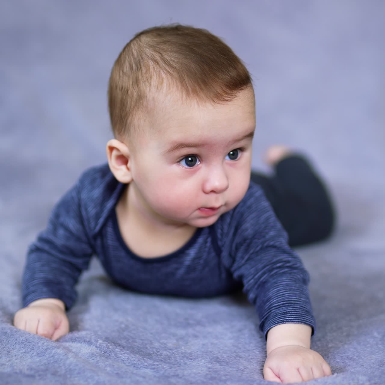 Healthy Caucasian boy lies on tummy and raises himself on arms. Curious toddler looking sideways with interest. Grey backdrop