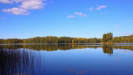 beautiful autumnal lake scenery with forest and blue sky