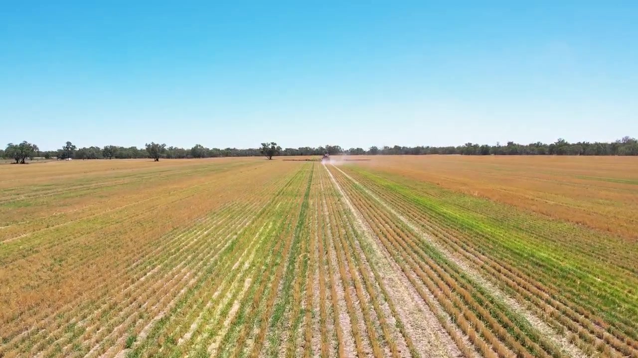 Drone pursuit shot following tractor sprayer moving forward along straight crop rows in dry agricultural field creating strong leading lines and depth while showing precision farming process under cle