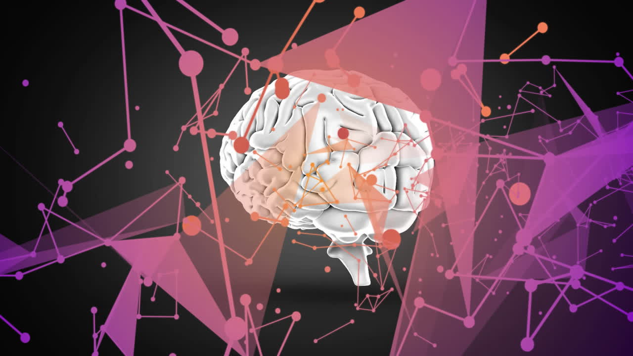 Animation of digital brain model with abstract geometric network in school setting