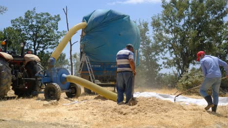 Hay-sprayer-adult-man