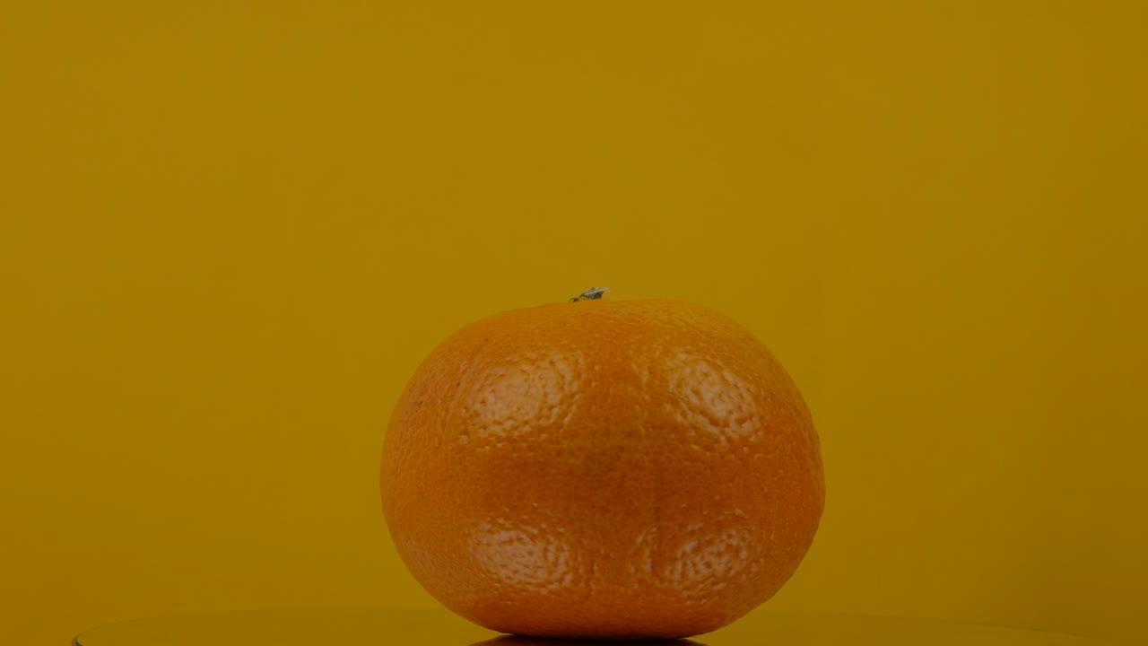 OPrange fruit turning on color background