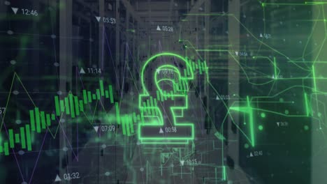 animación del símbolo de la libra, senderos de luz verde y procesamiento de datos contra la sala de servidores de computadora