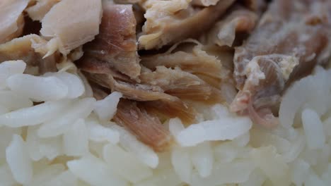 close-up of chicken and rice