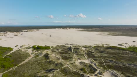 panoramic view of large sand dunes in the middle of denmark's forest