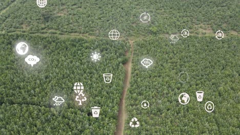 Vista-De-Drones--Bosque-De-áfrica--Kenia-Y-Tanzania-incendios-En-Las-Laderas-Del-Monte-Kilimanjaro-Loitokitok-Kenia
