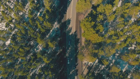 los coches circulan por una carretera muy transitada que atraviesa un bosque verde.