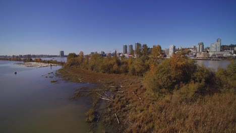 aerial 4k island in fraser river with green trees city of new westminster in background blue sky bright sunny day