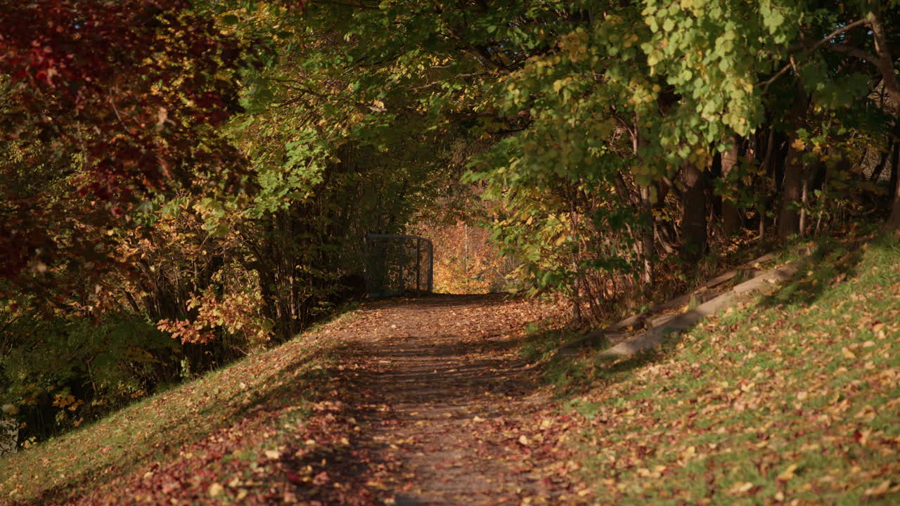 Wide shot of an empty pathway in a park in Oslo, Norway on a sunny October day