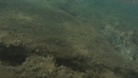 Low-view-of-small-waves-coming-to-shore