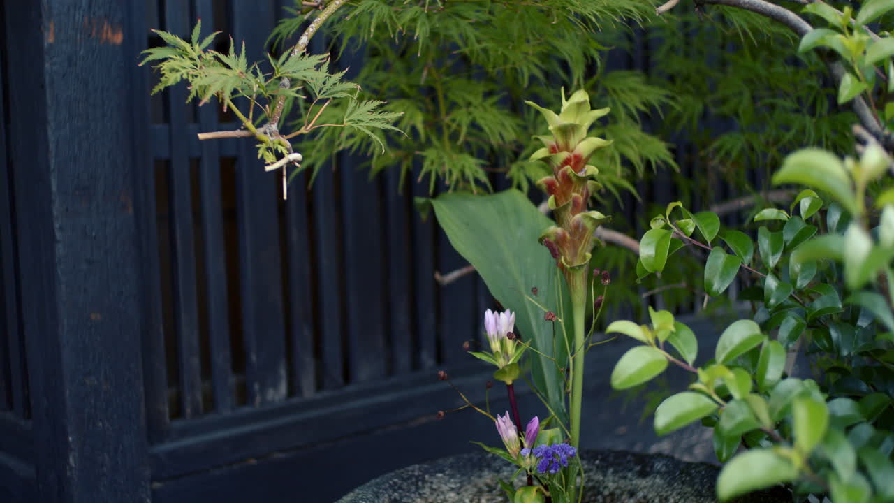 hermosas plantas verdes que crecen en un jarrón de piedra sentado fuera de un templo en kyoto, japón iluminación suave