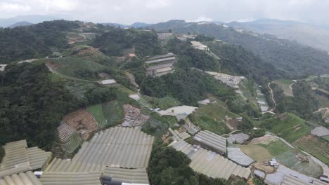 general landscape view of the brinchang district within the cameron highlands area of malaysia