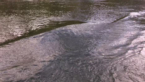 Close-up-view-of-gently-flowing-river-water-during-the-day