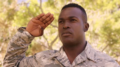 portrait of soldier is doing salute in a park