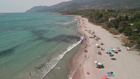 Colorful-Umbrellas-And-People-Enjoying-At-The-Beach-Near-Green-Vegetation-During-Summer---Static-Drone-Shot