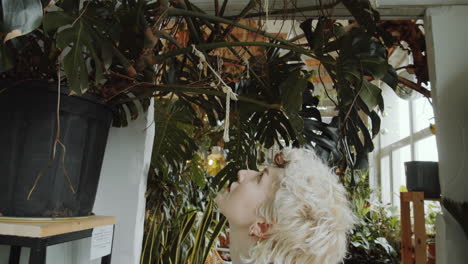 chica mirando la planta de monstera en la tienda de flores