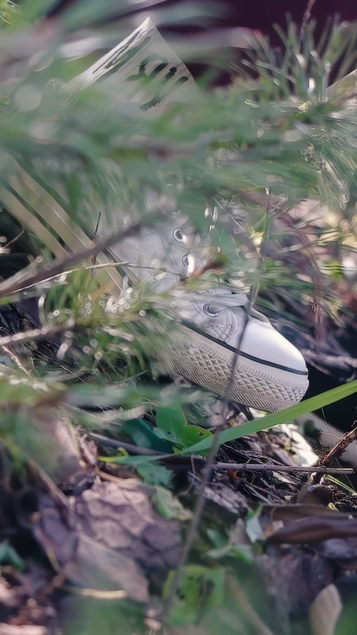 Shoes in the Woods