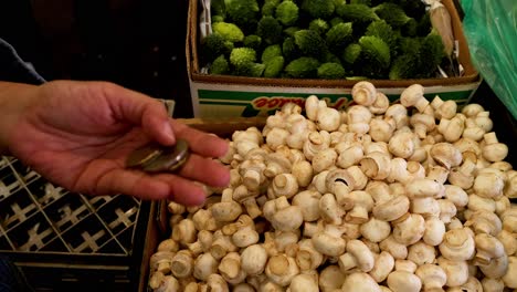 intercambiando monedas a mano por setas en el mercado