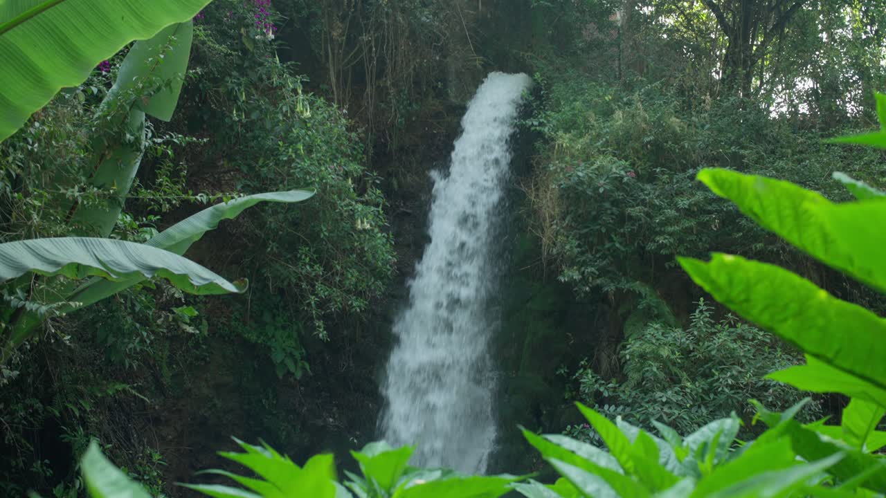 Una stretta cascata scorre in una giungla lussureggiante nella Barranca del Cupatitzio di Uruapan