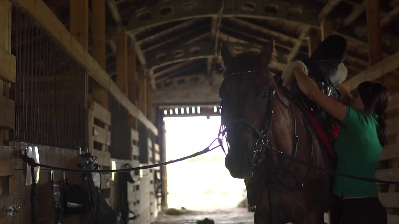 mujer preparando un caballo en un establo