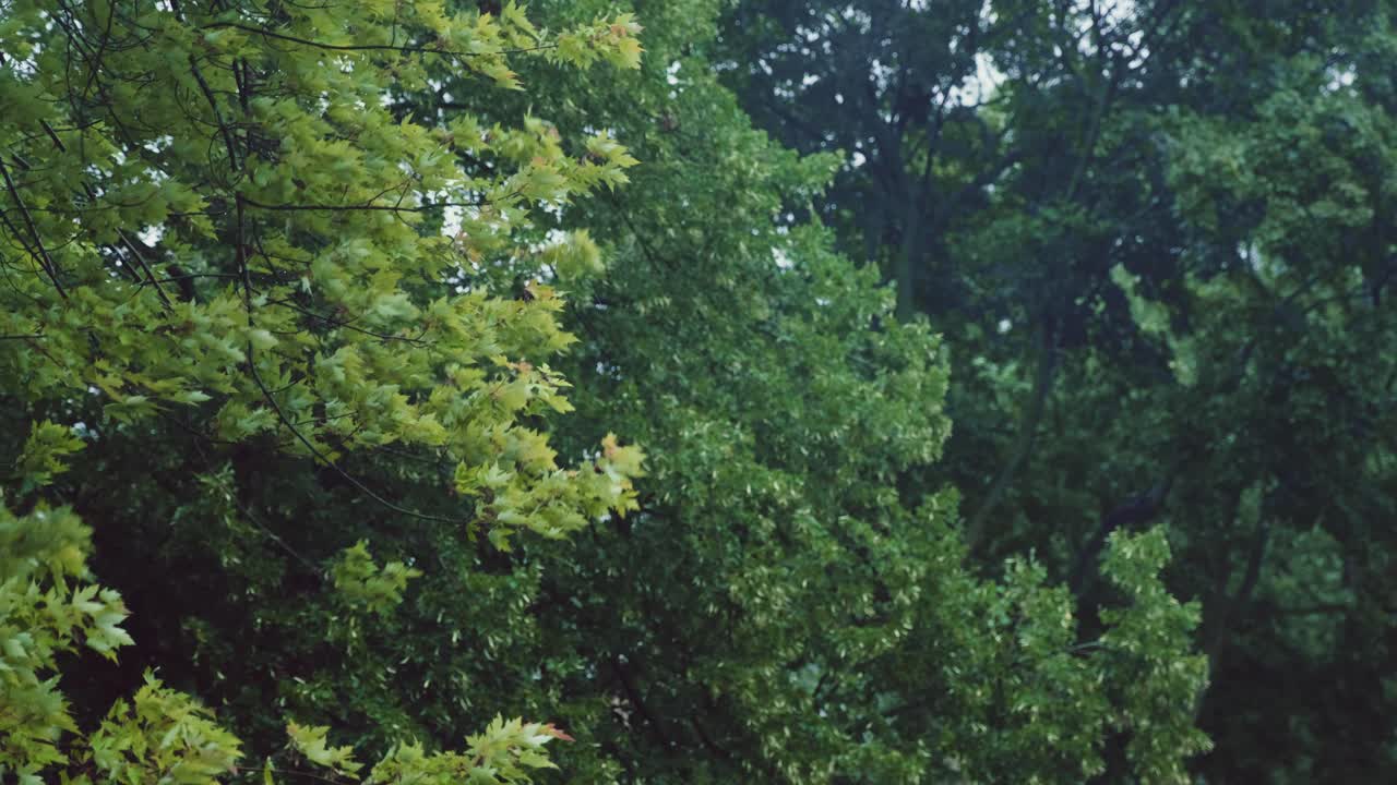 토네이도가 이웃을 통과