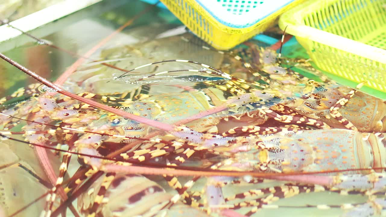 푸켓 시장 의 크 에 있는 호박