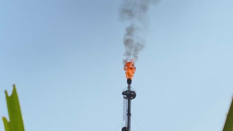 Gas-Flare-burning-on-clear-sky,-lush-green-grass-leaves-on-foreground,-pan