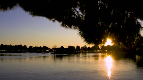 árboles sobre el lago al amanecer