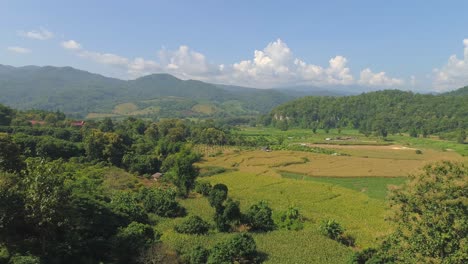 aerial view of lush green hills and farmland