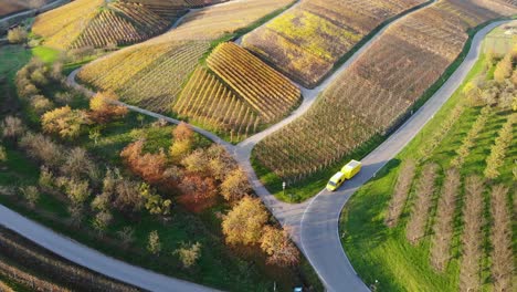 transporter with trailer drives through vineyards that glow in colorful autumn colors