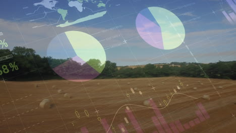 animation of statistics and financial data processing over agriculture field