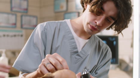 vet examining ears of dog with otoscope