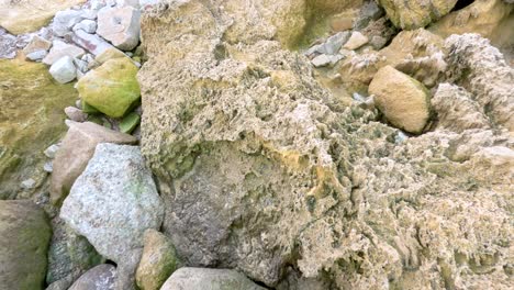 a rocky shoreline with algae-covered stones and debris, captured in natural daylight, showcasing erosion and coastal textures
