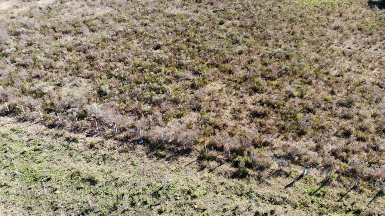 들판에서 달리는 토끼의 조감도