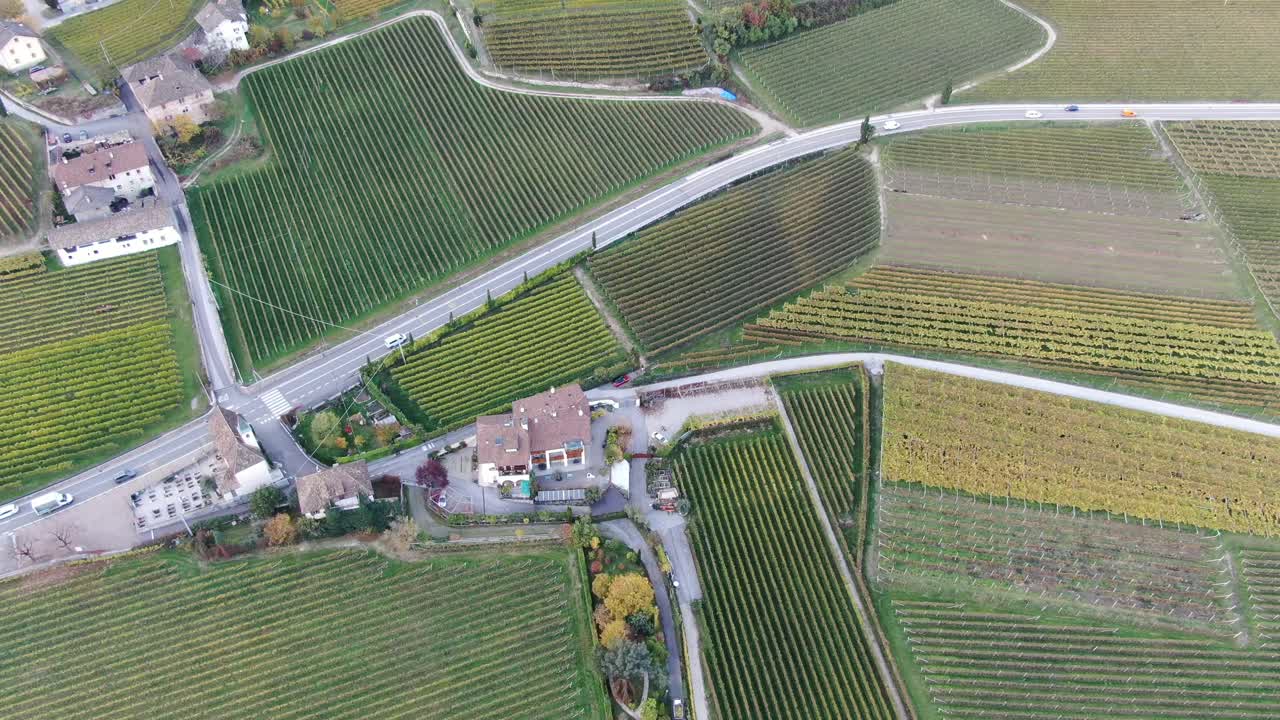 남쪽 티롤의 가을에 포도원 위에 공중 무인 항공기