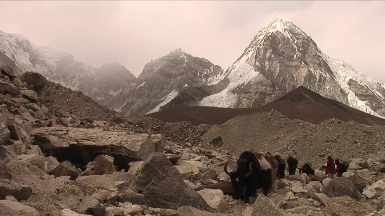 거친 길을 건너는 야크 트레커와 포터