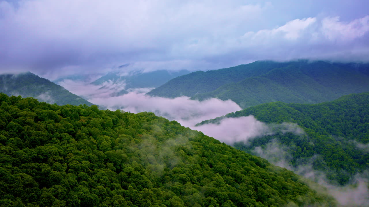 Drone soars over ethereal mist in the Smoky Mountains