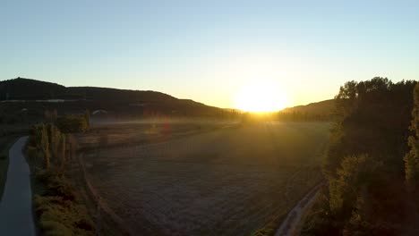 puesta de sol sobre un viñedo