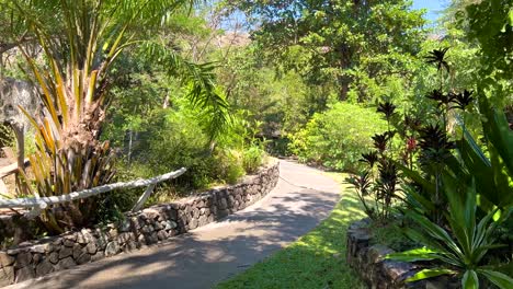 vegetación exuberante a lo largo de un sinuoso camino de piedra