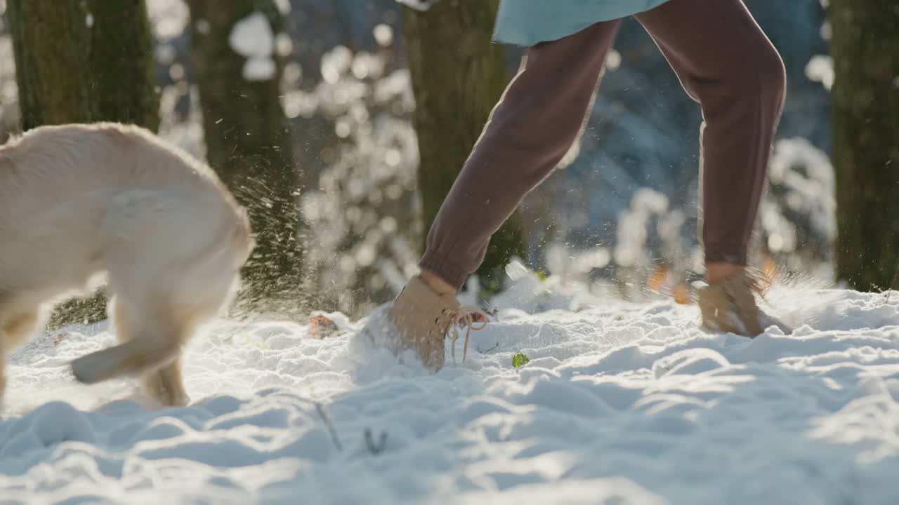 애완동물 소유자가 그녀의 개와 함께 눈에서 달리고, 겨울 숲에서 산책하는 좋은 시간을 보내고 있습니다. 느린 동작 비디오