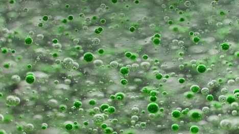 many small green bubbles slowly sinking in water