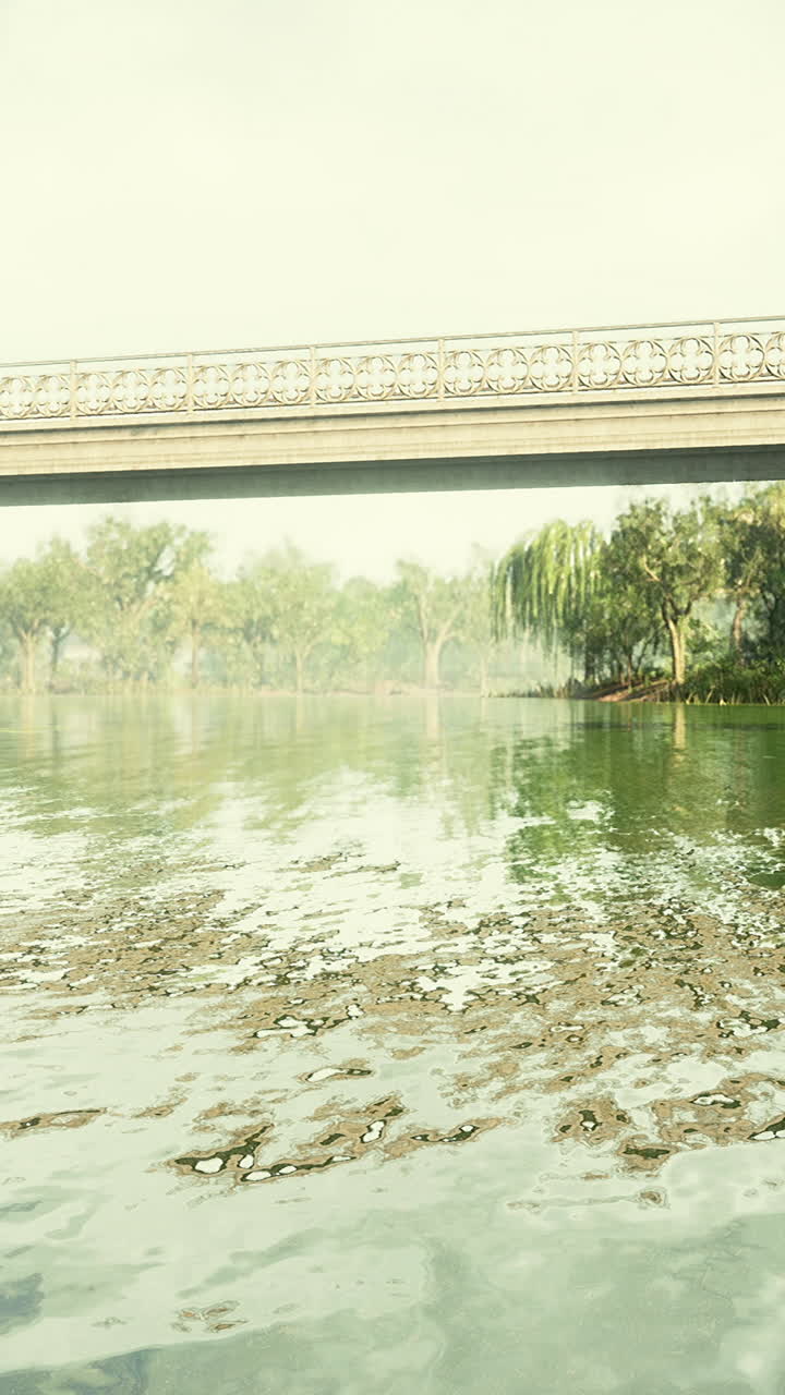 다리 아래의 평화로운 강 장면