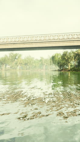 escena tranquila del río bajo un puente