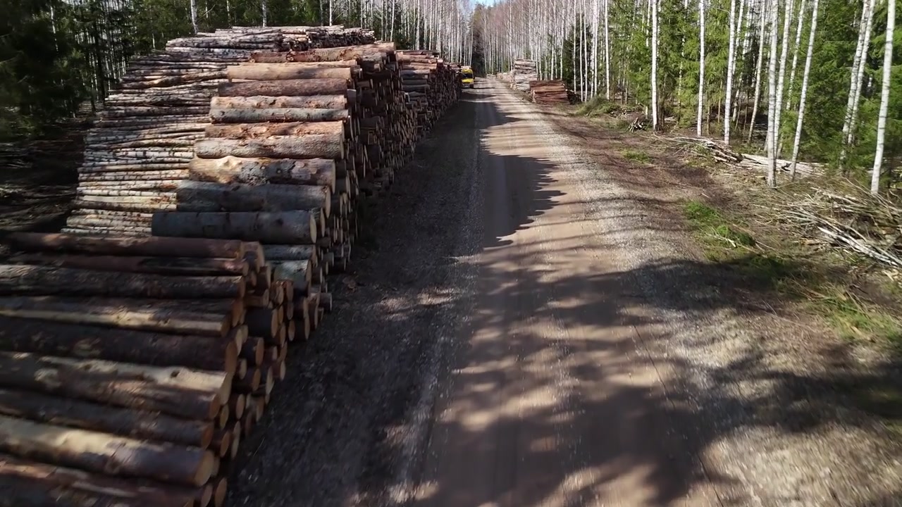 Drone Flight Over Stacked Logs Along the Road