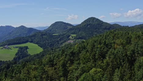 toma aérea de bosque, montaña y pradera en lavamünd