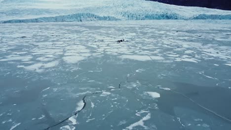 trozos de hielo flotando en el agua de mar en el día de invierno.