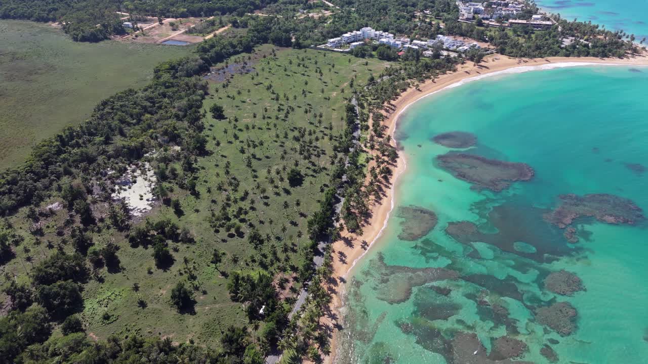 Tropical Palm Trees, Beach And Sea With Crystal Clear Waters In Playa el Portillo, Las Terrenas, Samana Peninsula, Dominican Republic. - aerial shot