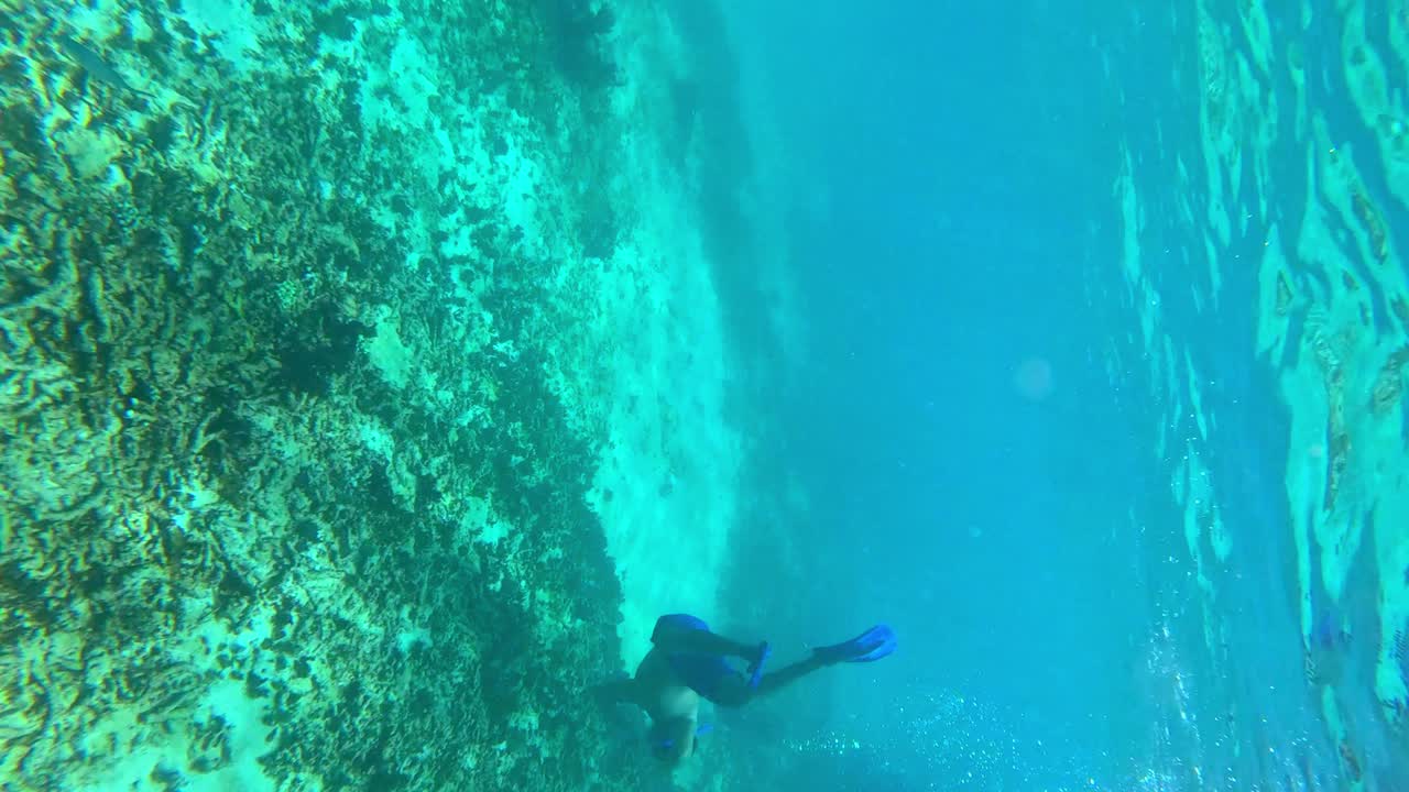 Underwater Snorkeling Adventure